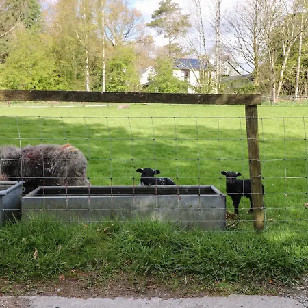 Σπίτι διακοπών Rowanberry